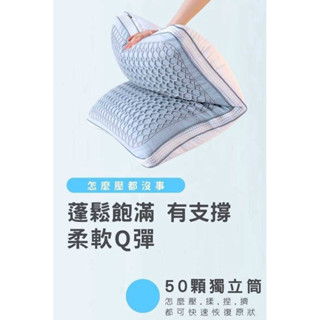 《臺灣製造》透氣涼感 冬夏兩用雙面 獨立筒枕頭