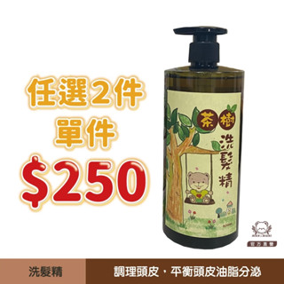 現貨【任選2件，單件＄250】茶樹洗髮精 500ml｜熊大莊｜就是熊 It's Bear｜官方直營