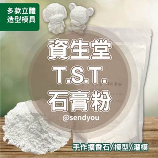 資生堂 TST石膏粉900g 石膏模 模型 灌模 擴香石材料組 模具 捏塑 齒科石膏 消泡劑 食品級石膏