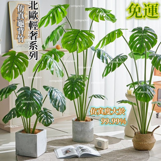 免運包稅 含發票 模擬綠植 龜背竹假植物 大型室內盆栽高階仿生綠植 客廳落地裝飾擺件 假植物 假盆栽 盆栽植物 龜背葉