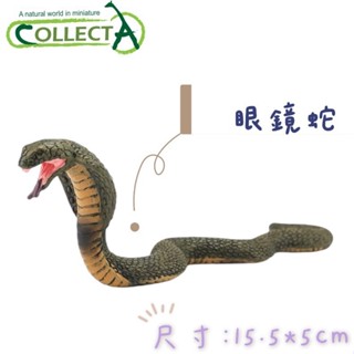 【MRW】CollectA 英國高擬真模型 眼鏡蛇 毒蛇 模擬 野生動物 動物模型 公仔