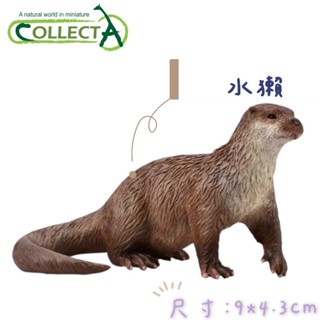 【MRW】CollectA 英國高擬真模型 水瀨 肉食性 哺乳動物 模擬 野生動物 動物模型 公仔 長約8CM