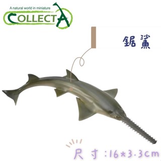 【MRW】CollectA 英國高擬真模型 鉅鯊 模擬 海洋生物 海洋動物 動物模型 公仔