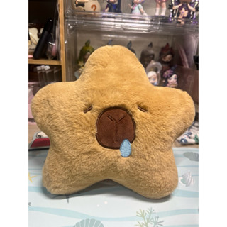 ✨卡皮巴拉星星娃娃小抱枕、午睡枕✨