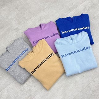 HAVE A NICE DAY 正面大LOGO 帽T【PS中壢】