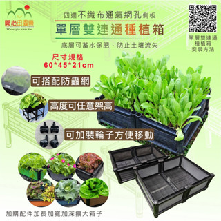 育材種植箱 單層雙連通箱 架高一節 防蟲網 種菜 蓄排水板 免彎腰組合 種菜箱 組合式種植箱 陽臺種菜