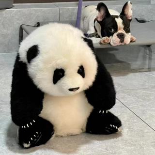 【限時折扣】熊貓娃娃 可愛娃娃 福寶娃娃 模擬娃娃 安撫娃娃 熊貓玩偶 抱枕娃娃 熊貓七仔 睡覺娃娃 毛絨娃娃 生日禮物