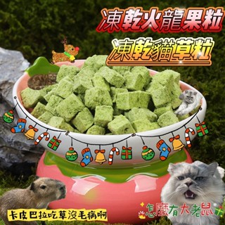 凍乾貓草粒 凍乾火龍果粒 凍乾貓草 寵物凍乾 貓零食零 貓草餅乾 排毛凍乾 貓咪化毛 貓草 小麥草 貓草磨牙 化毛 貓食