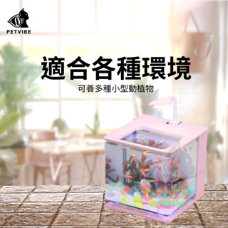 【芝麻現貨】炫彩 迷你魚缸 桌面魚缸 小型魚缸 懶人魚缸 桌上魚缸 迷你小魚缸 魚缸套組 魚缸水族箱 魚缸 USB背濾缸