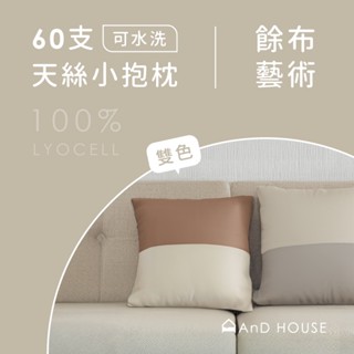 60支天絲 | 雙色可水洗抱枕 | 靠枕 午睡枕 趴睡枕 | AnD House