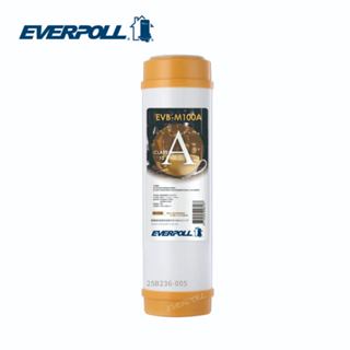 EVERPOLL EVB-M100A 道爾樹脂濾芯 (M100A) 10吋標準型 大大淨水