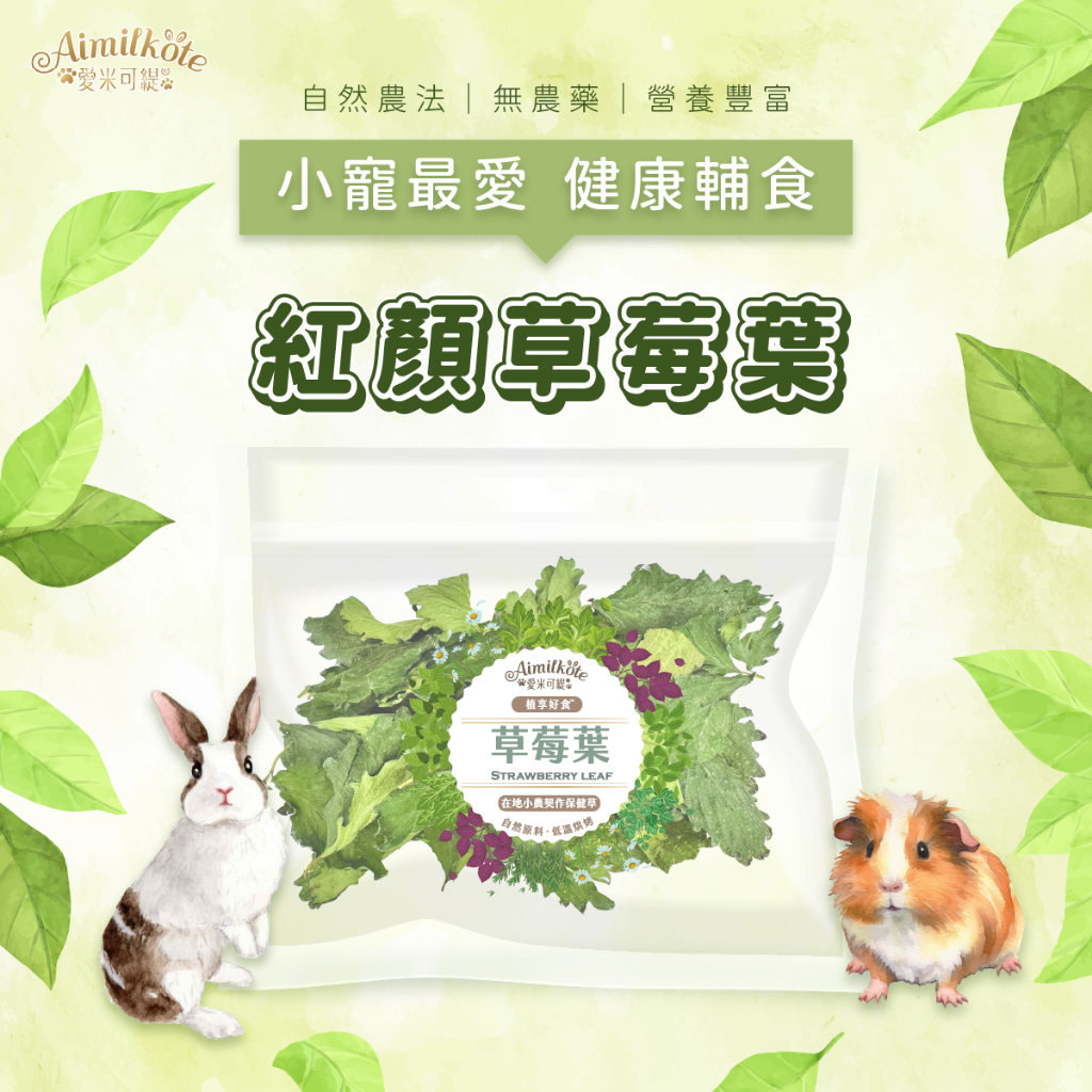 【愛米可緹】紅顏草莓葉12g 草莓葉 無農藥 烘乾保健草 小動物點心 自然農法 兔子零食 天竺鼠零食 倉鼠 龍貓 陸龜