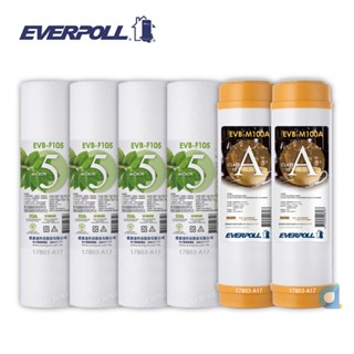 EVERPOLL EVB-F105 5微米PP濾芯4支 EVB-M100A道爾樹脂濾芯2支(共6支) 大大淨水