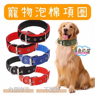【12H發貨 臺灣店面現貨】寵物項圈 泡棉項圈 寵物頸圈 狗狗頸圈 寵物胸背帶 牽引繩 狗項圈 狗狗項圈 大型犬項圈