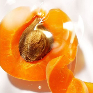 Apricot Kernel Oil 精製杏桃核仁油 Oil 植物油 手工皂製作