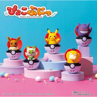 （現貨正品）POKEMON 精靈寶可夢 彈彈有聲精靈球 皮卡丘 伊布 耿鬼 可達鴨 新葉喵 精靈球 有聲玩具