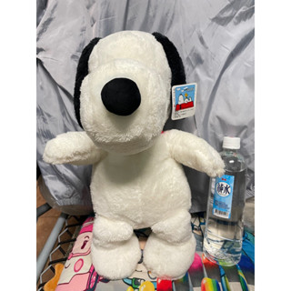 「現貨」全新🔥正版Snoopy 史努比絨毛娃娃
