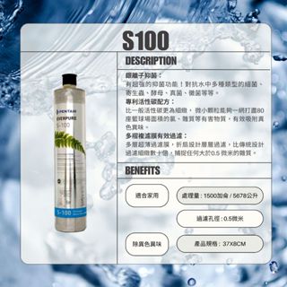 美國原廠EVERPURE 家用 商用 生飲濾心 S100 s100 S-100