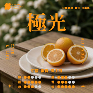 巴拿馬｜藝伎 極光｜日曬處理｜1/4磅 包裝 咖啡豆