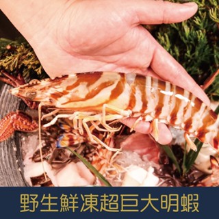 【就是愛海鮮】野生鮮凍超巨大明蝦3尾/5尾/430g Q彈的肉感讓人吃了就像戀愛了 [量大可配合批發/團購]
