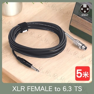 【魔音傳腦】Stander MC-71-1 5米 XLR FEMALE to 6.3 TS 導線 轉接線 訊號線
