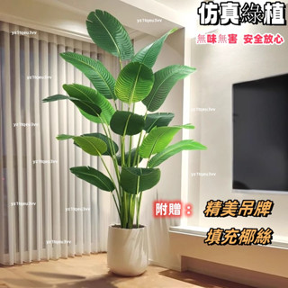 免運包稅 含發票 模擬綠植 高階假植物天堂鳥 仿真花 輕奢室內盆栽 裝飾樹 擺件客廳仿生 仿真植物 假植物 假樹 盆栽