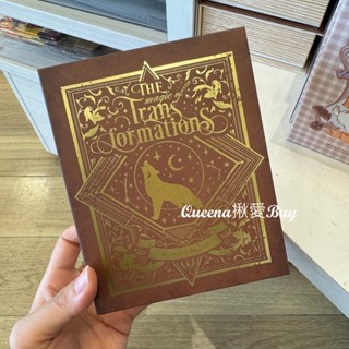 💓Queena揪愛BUY🆙⏩日本購物✈書本造型 收納盒/儲物盒✈書架擺飾 裝飾 拍照道具 造型置物盒 貓咪 狼