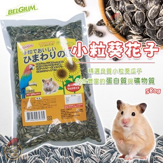小粒葵瓜子_快速出貨🚚 葵花籽 葵花子 大粒葵瓜子 葵瓜子 BELGIUM 鳥/鸚鵡/倉鼠/三線鼠/黃金鼠/零食點心