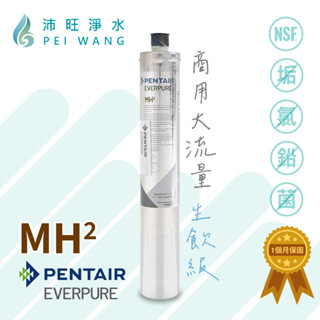 【沛旺淨水】美國原裝進口 愛惠浦EVERPURE-MH2 生飲級濾心，商業餐飲用。全新現貨含黑水保固，抑垢除鉛除氯