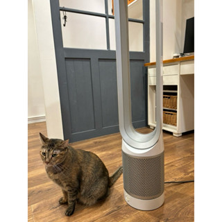 Dyson 戴森二合一涼風空氣清淨直立無扇頁電扇