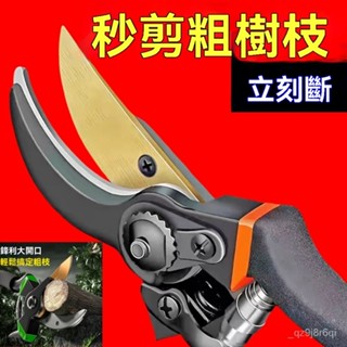 現時特賣德國進口SK5A強力粗枝剪枝條剪省力修剪枝園藝剪子花卉不銹鋼剪刀 強力 園藝修枝剪 花枝剪 修樹枝剪刀 樹枝剪刀