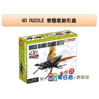 哥白尼的實驗室/生物/4D寮國黑鍬形蟲模型/甲蟲系列/禮盒裝/正版Fame Master/陸生生物系列 昆蟲類