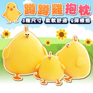 【臺灣出貨】蹲蹲雞 雞抱枕 雞玩偶 生日禮物 交換禮物 抱枕 雞娃娃 小雞娃娃 可愛抱枕 抱枕娃娃