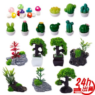 療癒植栽小公仔 臺灣出貨 不死植栽 微景造景 模擬裝飾造景 多肉植物花盆 苔蘚微景 微景觀擺件 水族擺件 現貨 人魚朵朵