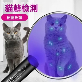 紫外線手電筒 UV手電筒 伍德氏燈 365nm紫光手電筒 貓蘚寵物真菌檢測燈 紫光驗鈔燈 紫外線燈 紫光燈