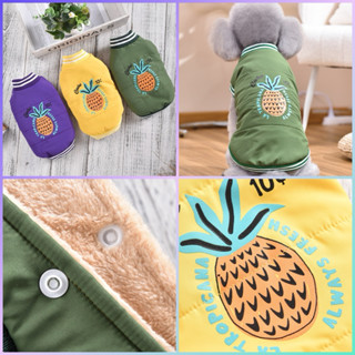 [現貨］臺灣出貨 XS-2XL 中小型犬 貓 寵物服飾 鳳梨印花防風上衣 貓🐱狗🐶兔🐰 秋冬新品