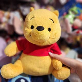 Bunibear. 小熊維尼娃娃 布偶 正版 迪士尼 絕版娃娃 維尼 POOH