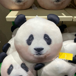 （現貨）愛寶樂園 周邊 代購 寶家族 Bao Family 福寶 大頭 抱枕 靠枕 玩偶 娃娃 熊貓