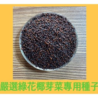 PIH嚴選★綠花椰青翠芽菜種子 保證發芽率90%以上 種子-防潮防濕袋-義大利 育苗盤專用種子
