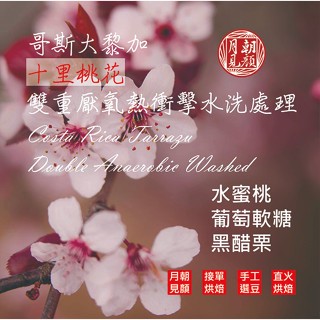 哥斯大黎加.十里桃花.雙重厭氧熱衝擊水洗淺中烘焙(義式中烘焙)咖啡豆/掛耳濾掛/咖啡豆-月見朝顏咖啡烘焙
