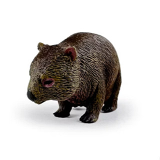臺北芃芃玩具 永曄 collectA 動物模型 袋熊 ~英國高擬真模型-R88756