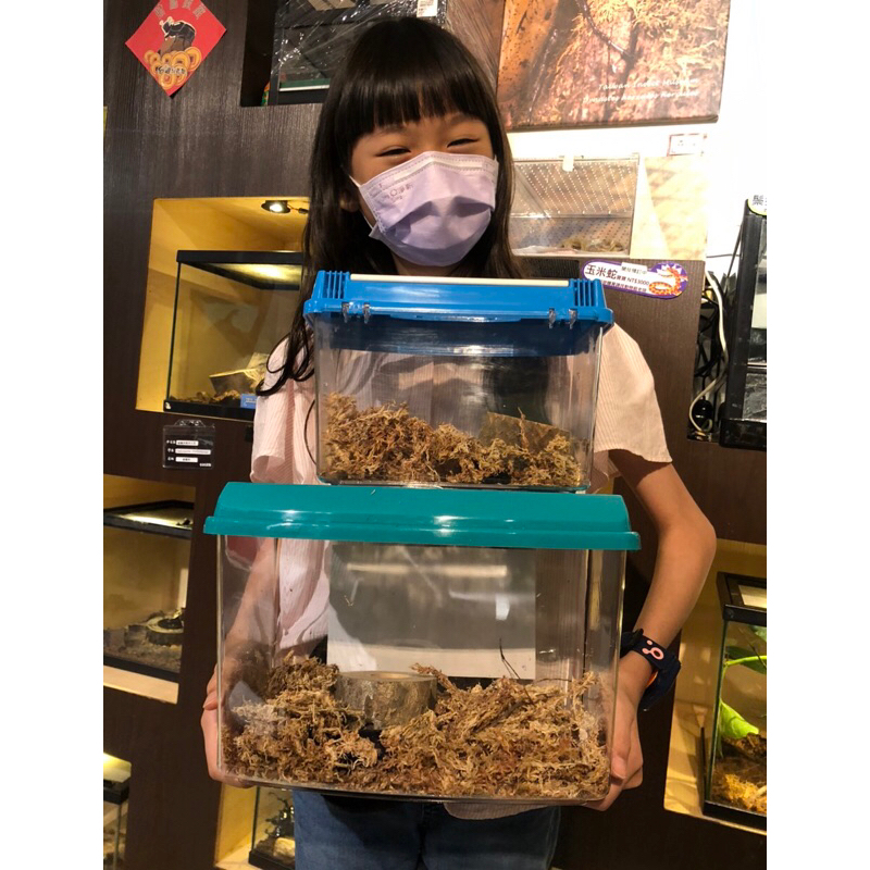 二手昆蟲飼養手提箱ㄧ組