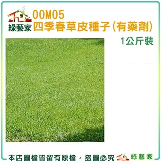 【綠藝家】00M05四季春草皮種子1公斤裝(有藥劑處理)(四季青草皮種子)速綠草 全綠草 四季青