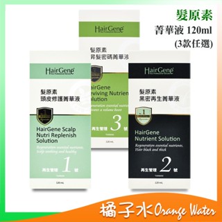 【橘子水】Hair Gene 寶齡富錦 髮原素 菁華液 120ml (頭皮修護/黑密再生/昇髮密碼)