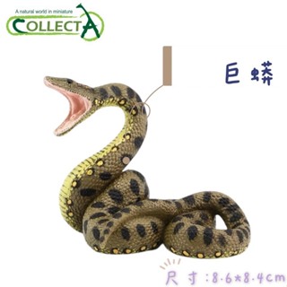CollectA 英國高擬真模型 巨蟒 模擬 野生動物 動物模型 公仔