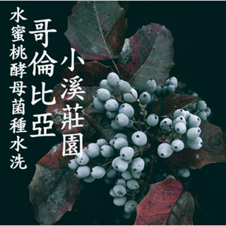 (2024) 獵豆工坊🐆 哥倫比亞 小溪莊園 水蜜桃菌種酵母水洗 咖啡生豆500g