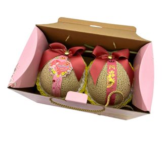【新鮮屋】臺灣日本種阿露斯哈密瓜2入禮盒
