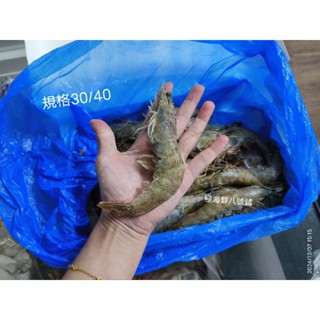 【極海鮮八號鋪】消費滿$3000，送超商冷凍店取免運，中南美生白蝦850g，肉質新鮮Q彈