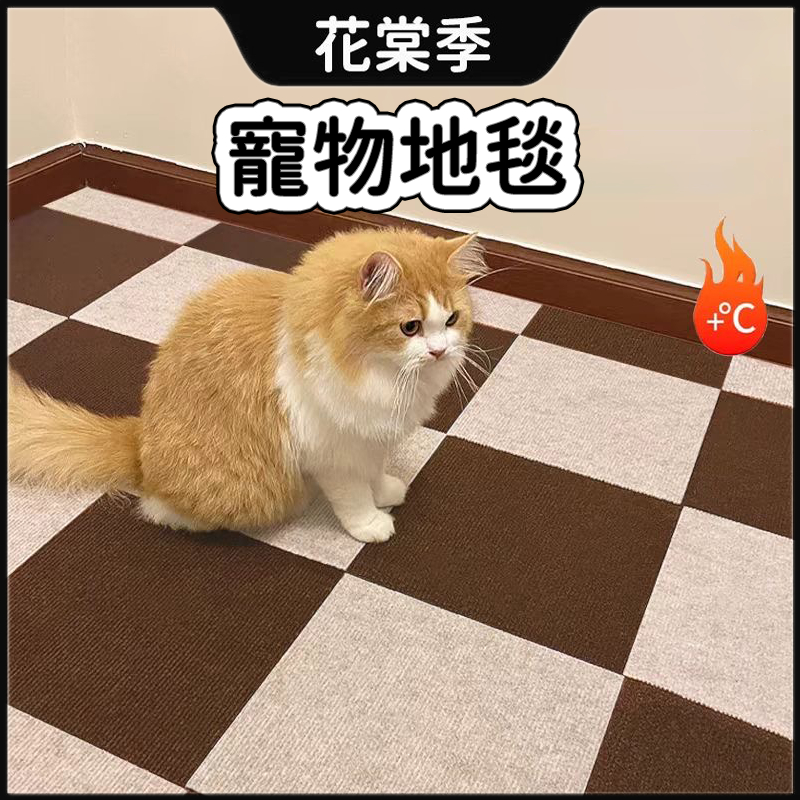 寵物地毯 地毯 DIY地毯 貓咪磨爪 隨意剪貼 貓爬貼 逗貓神器 耐磨 耐抓 不掉屑 貼墻貓抓板 貓咪攀爬 貓抓板