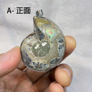 天然玉化菊石螺化石/風神菊石，縫合線超級漂亮，一面玉化，一面